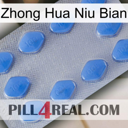 Zhong Hua Niu Bian 21